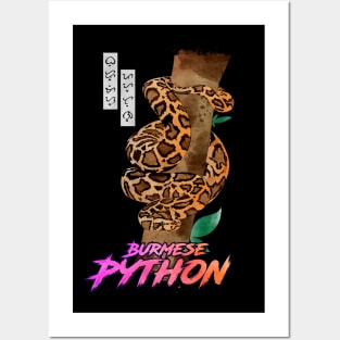 Burmese Python Posters and Art